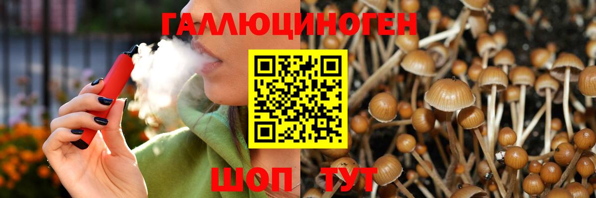 Муравленко  Галлюциногенные грибы MAGIC MUSHROOMS  Вход с VPN 