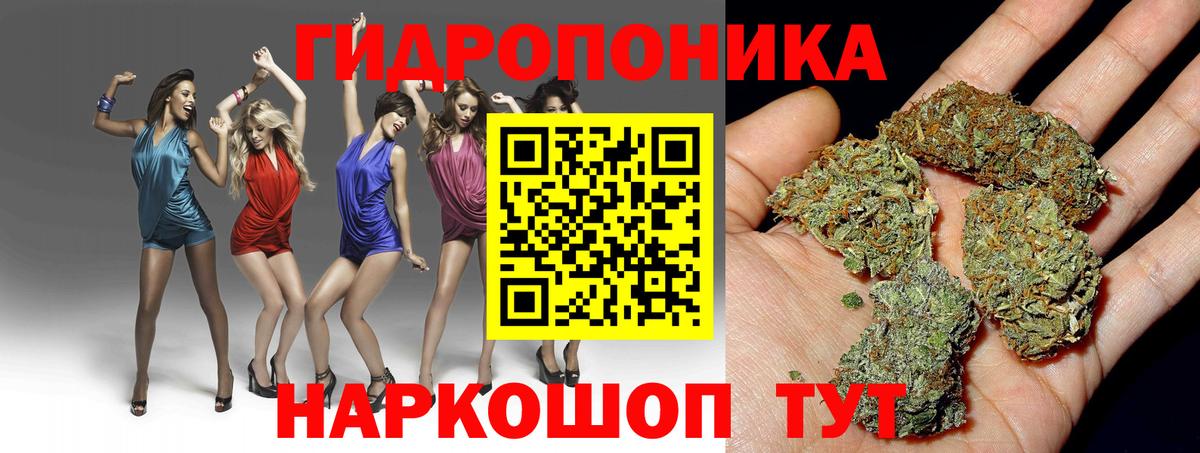 Шишки марихуана семена  Вход с VPN  Конопля планчик  Шишки марихуана гибрид  Муравленко 